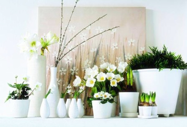 陽臺花卉擺放技巧